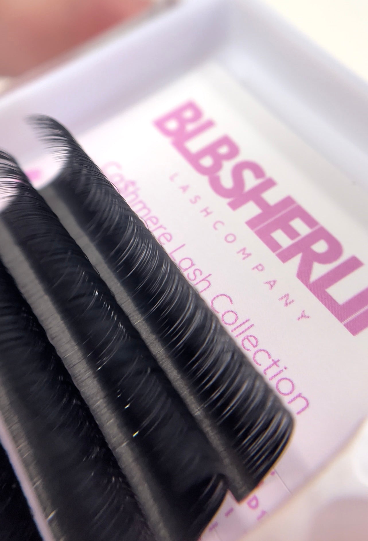 Cashmere Lash Vendor (OLD VENDOR)